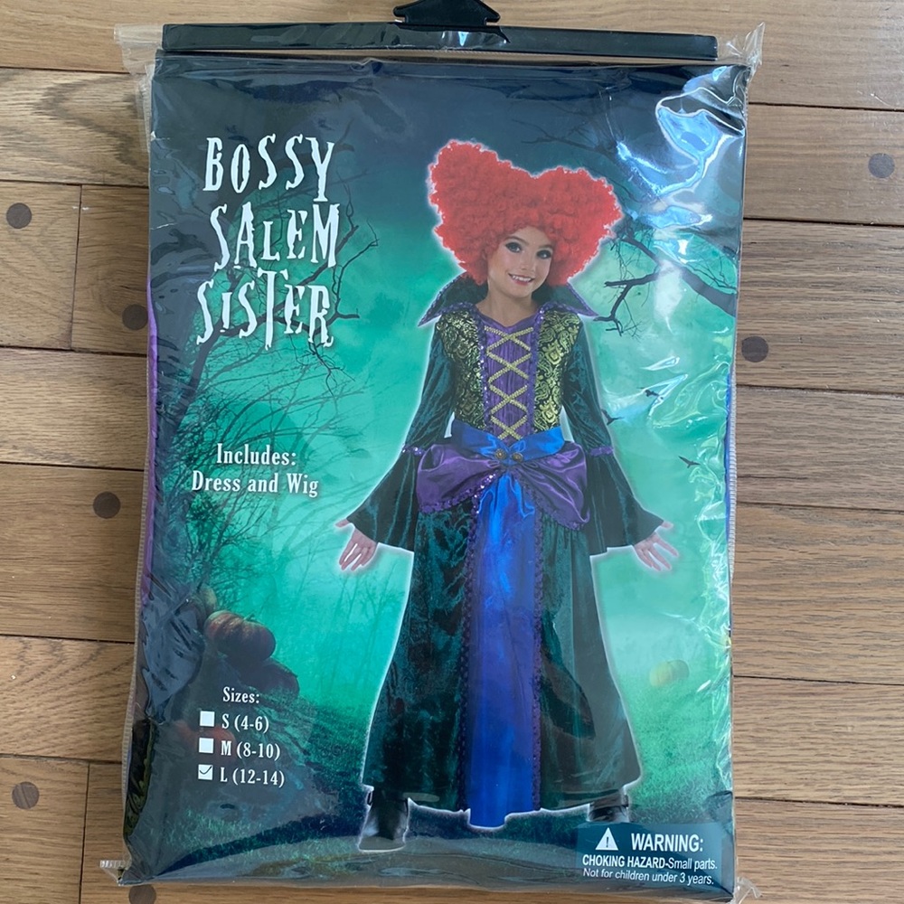 Halloween Disney Hocus Pocus Winifred Sanderson Dress & Wig - Size Child L 12-14